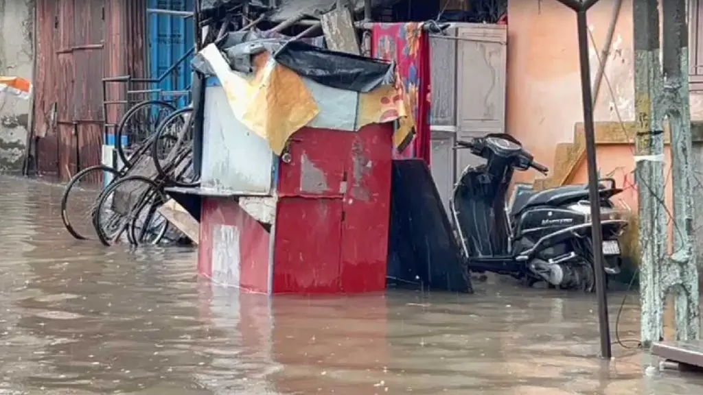 Gujarat Rain: સમગ્ર ગુજરાતમાં મેઘમહેર, છેલ્લા 24 કલાકમાં 206 તાલુકામાં ...