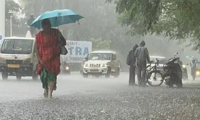 Patan Rain News: પાટણના સિદ્ધપુરમાં 24 કલાકમાં 2.4 ઈંચ વરસાદ, જાણો સમગ્ર જિલ્લામાં થયેલા વરસાદ વિશે