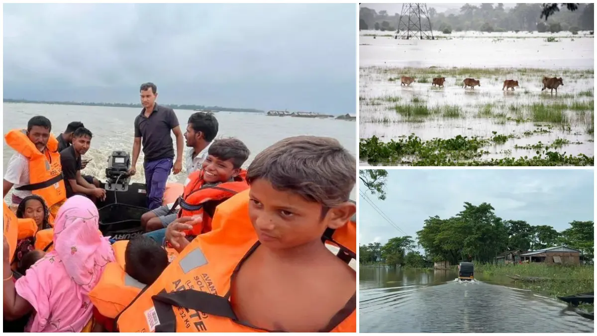 flood-in-assam-27-lakh-people-affected-137-animals-died-in-kaziranga-360028