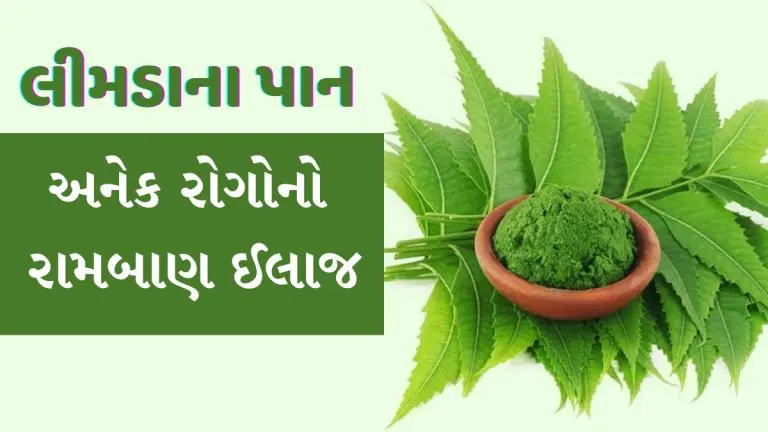 neem-leaves-benefits-and-medicinal-uses-in-gujarati-372146