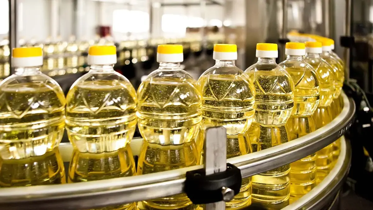 Refined Oil: રિફાઇન્ડ તેલ સ્વાસ્થ્ય માટે કેમ હાનિકારક માનવામાં આવે છે? નિષ્ણાતો પાસેથી કારણ જાણો