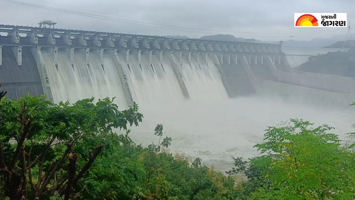 narmada-news-first-time-in-season-sardar-sarovar-dam-10-gates-open-for-2-meter-576867