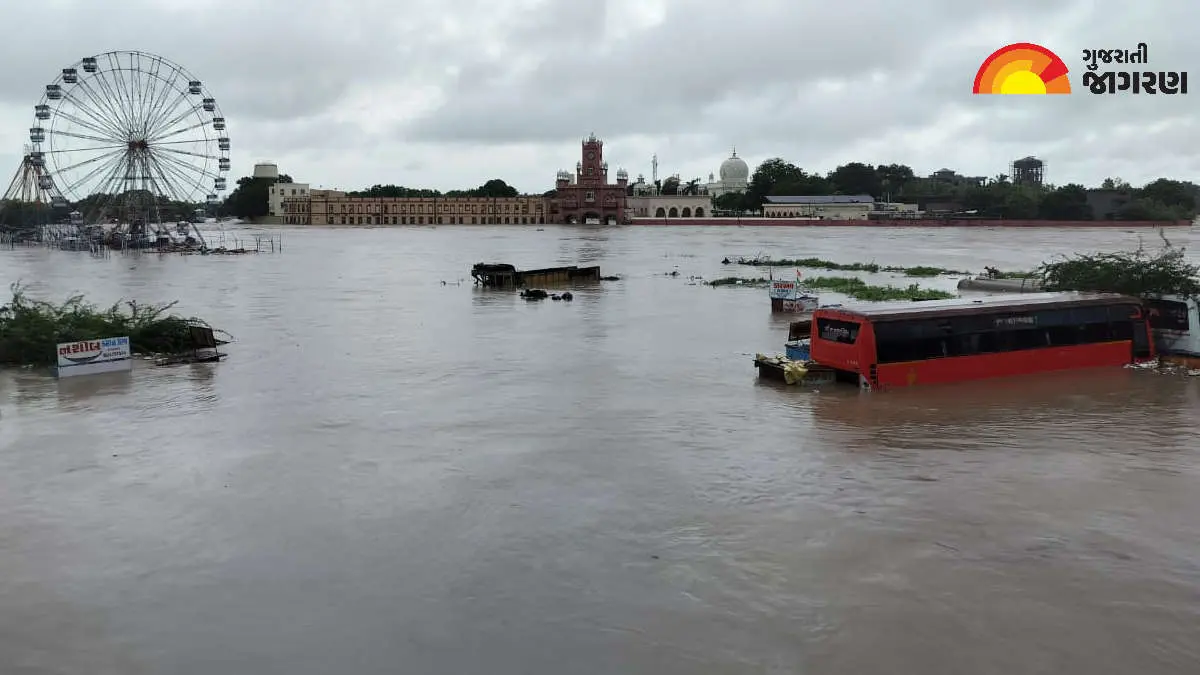 Jamnagar Rain: છેલ્લા 24 કલાકમાં જામનગર જિલ્લામાં 6 તાલુકામાં મેઘમહેર, સૌથી વધુ જોડિયા તાલુકામાં 3. ઈંચ વરસાદ, જાણો અન્ય તાલુકા વિશે