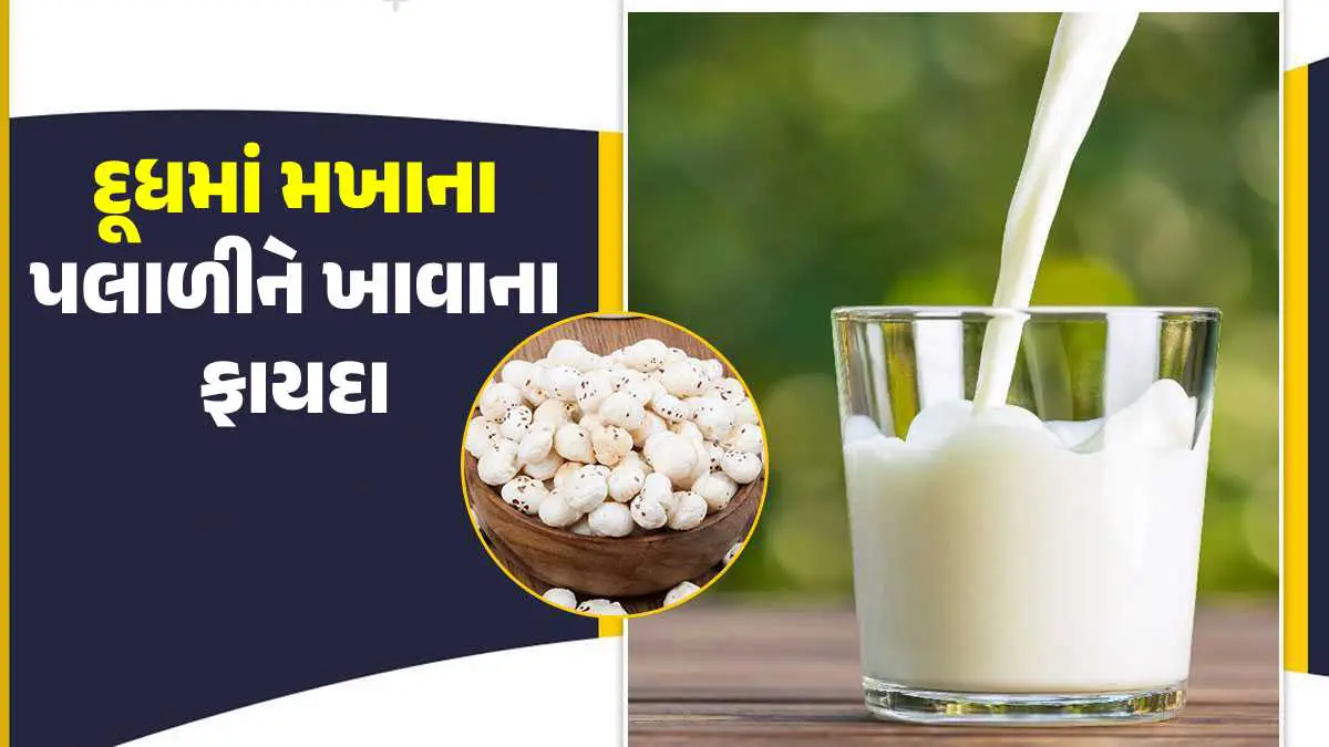 health-benefits-of-consuming-makhana-with-milk