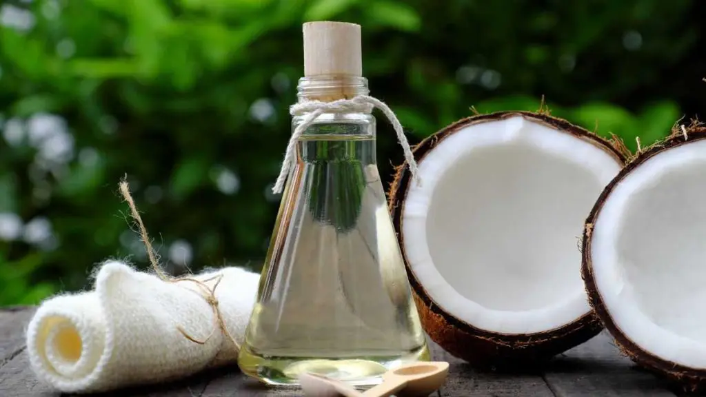 Coconut Oil Benefits આંખો નીચેના ડાર્ક સર્કલથી પરેશાન છો? નાળિયેર તેલ દૂર કરશે સમસ્યા; જાણો