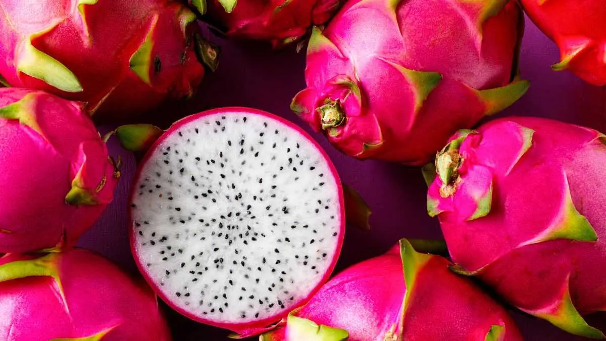 gondal-apmc-aaj-na-bajar-bhav-fruits-bhav-06-september-2025-598456