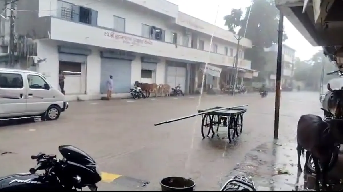 gujarat-rain-update-today-54-taluka-gets-rain-across-the-state-till-4-pm-393497