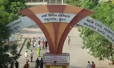 surat-news-3-dead-along-with-7-years-girl-due-to-fever-amead-rainy-weather-589595