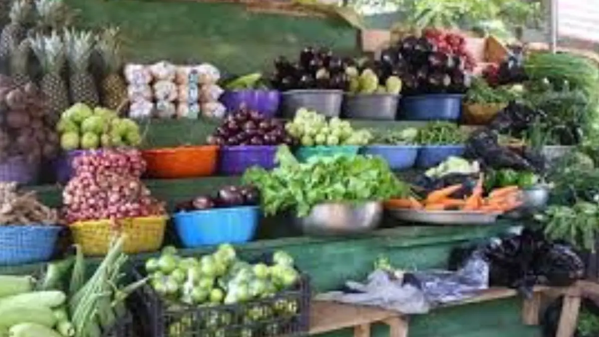 Rajkot Market Yard Bhav Today 28 August 2025 | રાજકોટ માર્કેટ યાર્ડ શાકભાજીના ભાવ| રાજકોટ માર્કેટિંગ યાર્ડ આજના બજાર ભાવ | Rajkot APMC Price Today | Rajkot APMC Rate Today