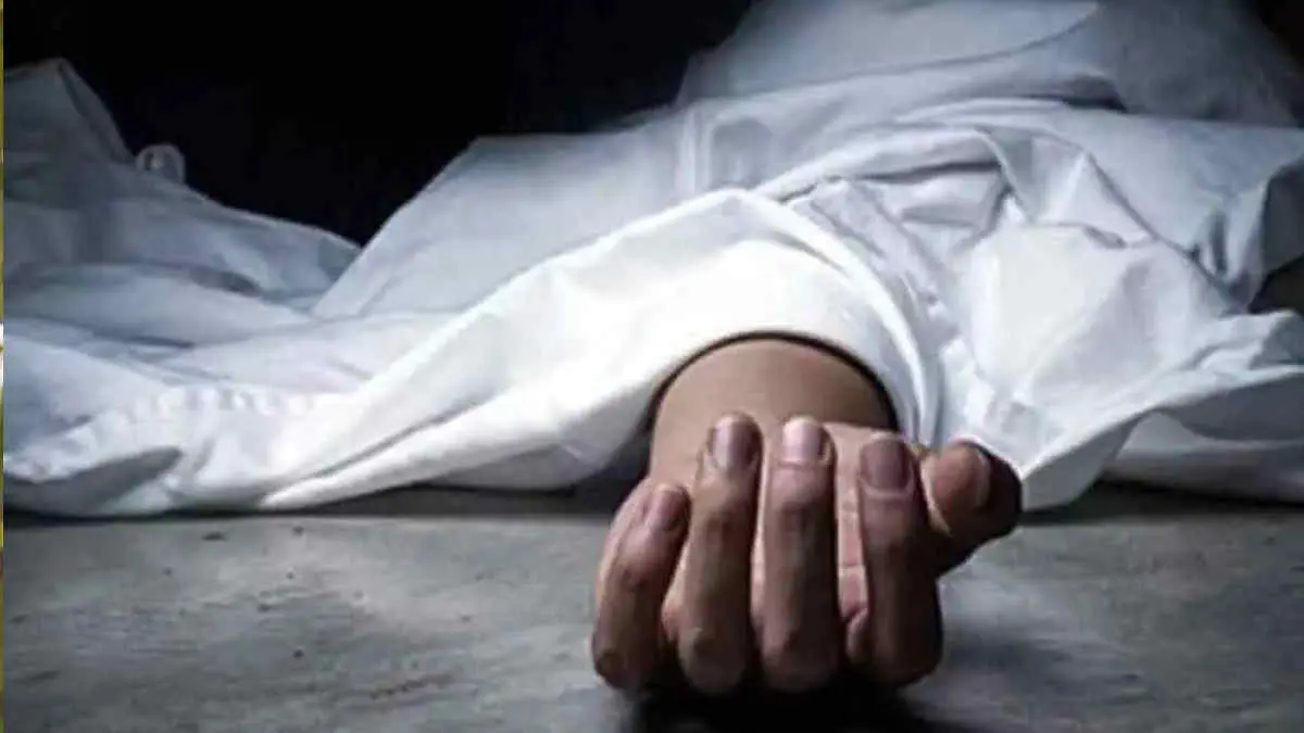 a-swarm-of-bees-attacked-a-couple-cutting-grass-in-vagheshwar-village-651904