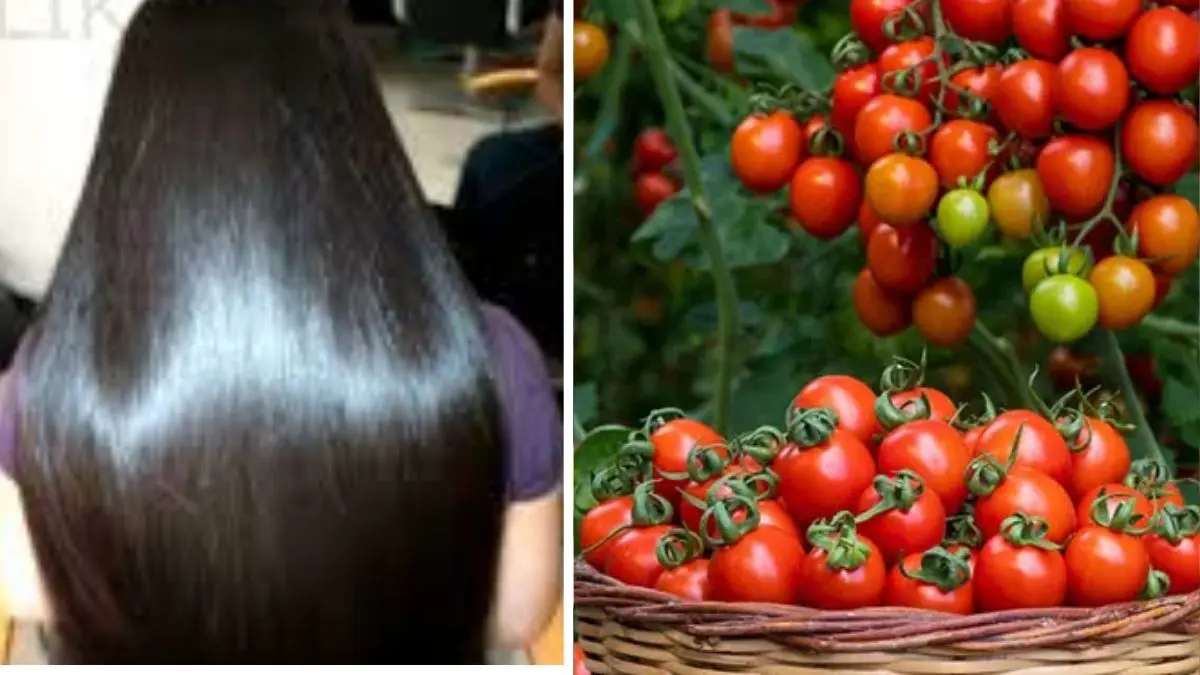 can-eating-tomato-boost-hair-growth-eating-tomatoes-boosts-hair-growth-definitely-include-it-in-the-diet-399794