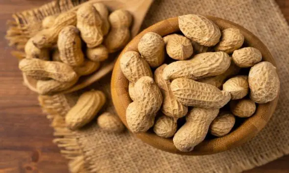 Consuming Peanuts: દરરોજ મગફળીનું સેવન કરવાથી કઈ-કઈ બીમારી દૂર રહે છે? આ 3 વિટામીનનો છે ખજાનો
