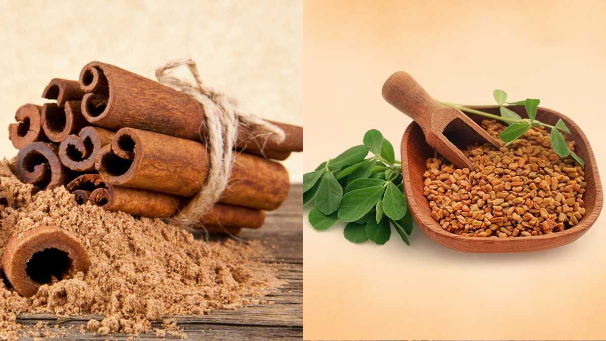 fenugreek-and-cinnamon-to-reduce-blood-sugar-know-health-benefits-415738