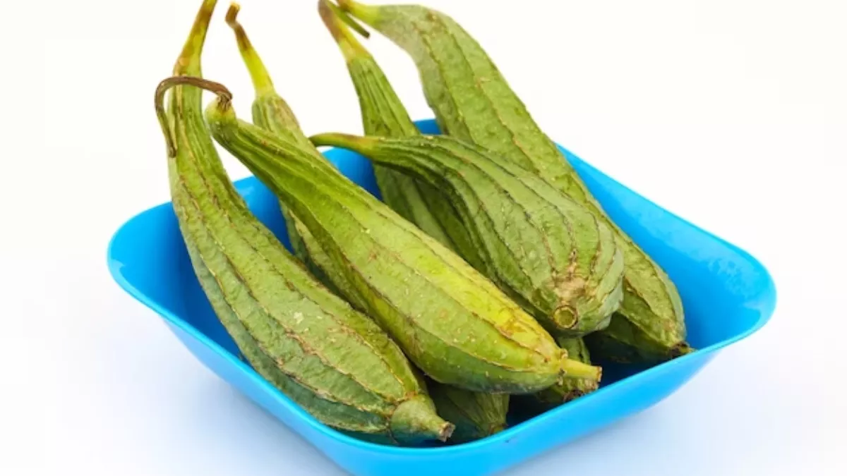 health-tips-ridge-gourd-side-effects-who-should-not-eat-it-425589