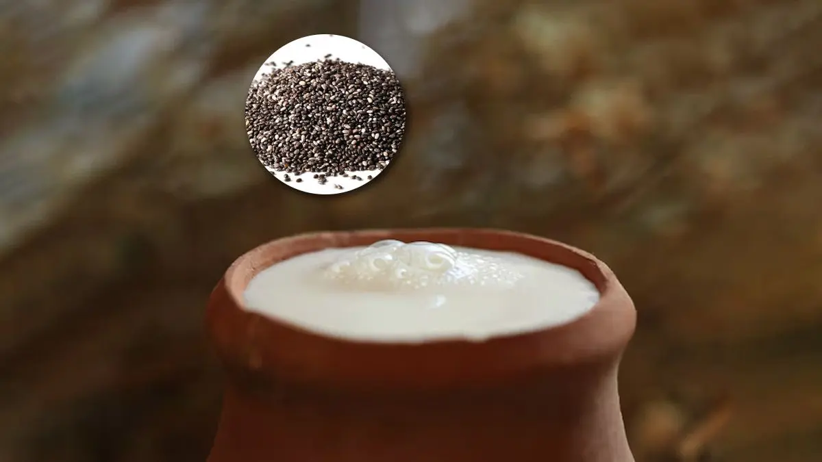 how-to-use-buttermilk-with-chia-seeds-for-acidity-426816