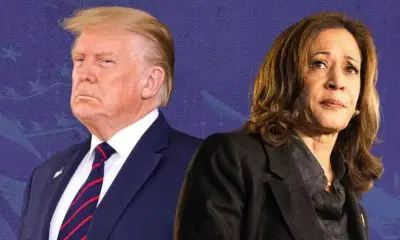 US Election 2024: ડોનાલ્ડ ટ્રમ્પ કે કમલા હેરિસ ? કોની જીત ભારતના હિતમાં રહેશે, જાણો - US Election 2024 donald Trump or kamala harris which candidate is better for india Shri Thanedar reacts