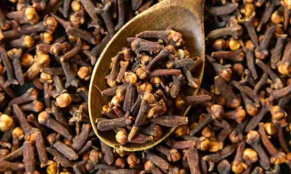 Clove Side Effects: લવિંગનું વધુ પડતું સેવન કરવાથી સ્વાસ્થ્યને થઈ શકે છે ગંભીર નુકસાન, જાણો કંઈ સમસ્યા હોય તો ખાવાનું ટાળવું જોઈએ