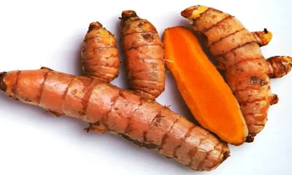 Rajkot Market Yard Bhav: રાજકોટ માર્કેટ યાર્ડમાં લીલી હળદરની આવક થઇ, જાણો આજનો નવો ભાવ