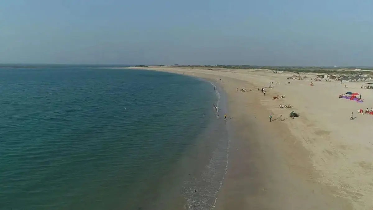 how-to-reach-shivrajpur-beach-in-dwarka-423994
