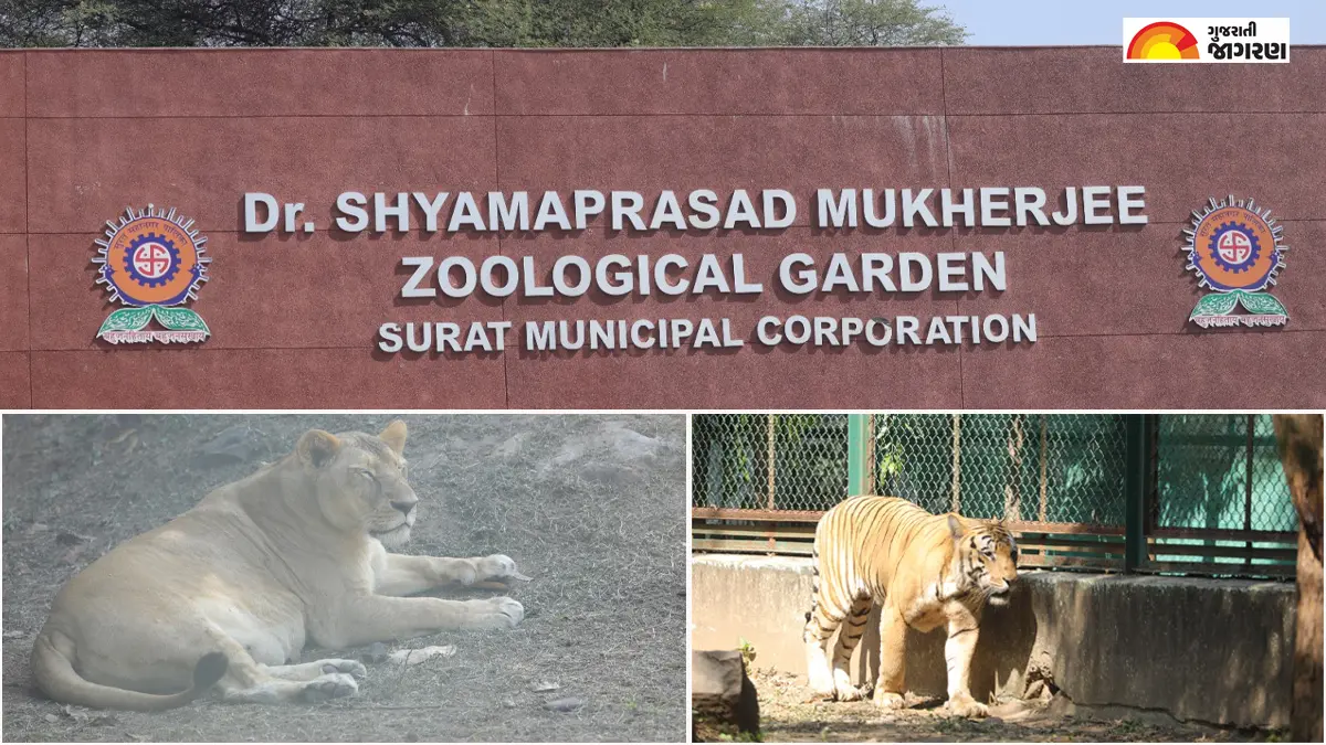 surat-news-discover-the-magic-of-sarthana-nature-park-a-25-lakh-visitor-favorite-439613