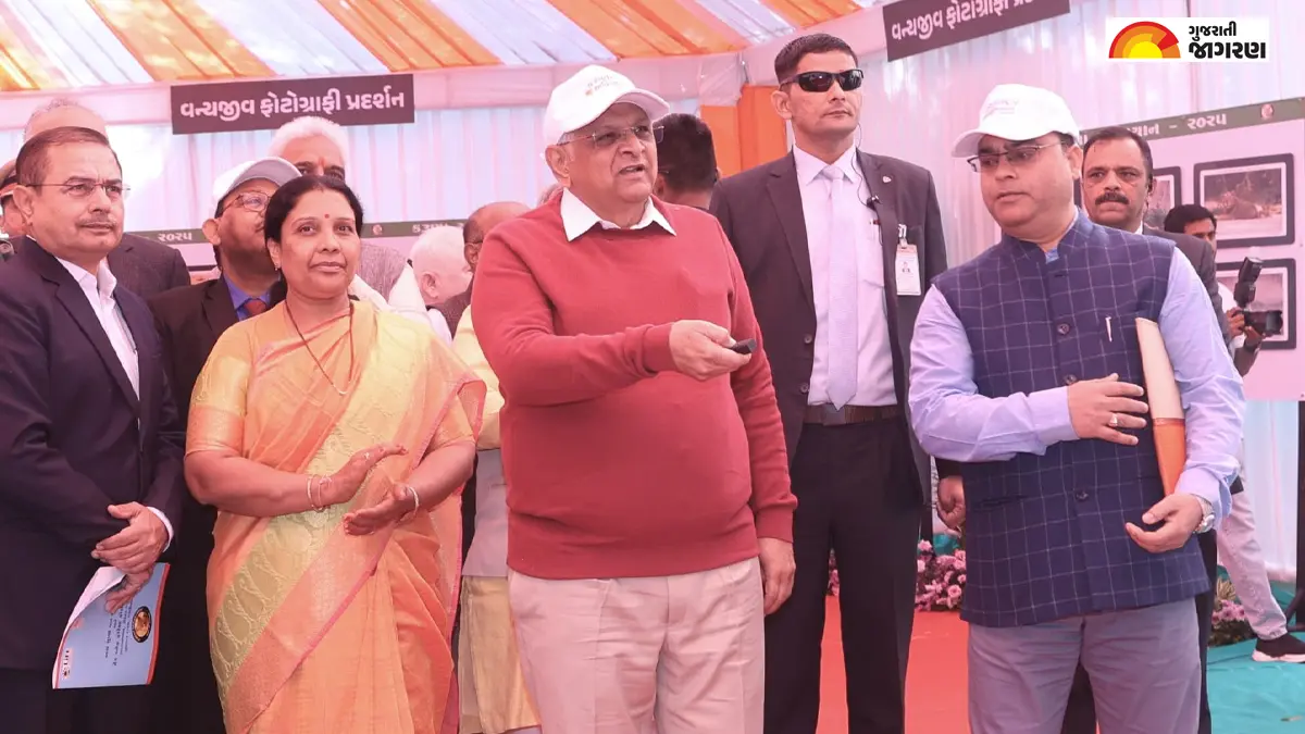 Ahmedabad News: મુખ્યમંત્રી ભૂપેન્દ્ર પટેલે રાજ્યના વન વિભાગની 'સ્નેક ...