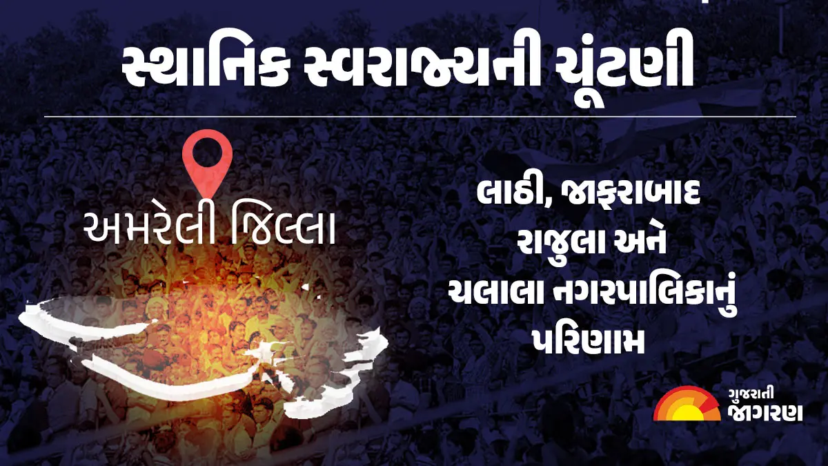 amreli-municipal-election-result-2025-live-updates-vote-counting-votes-percentage-party-wise-bjp-congress-local-body-elections-results-477122