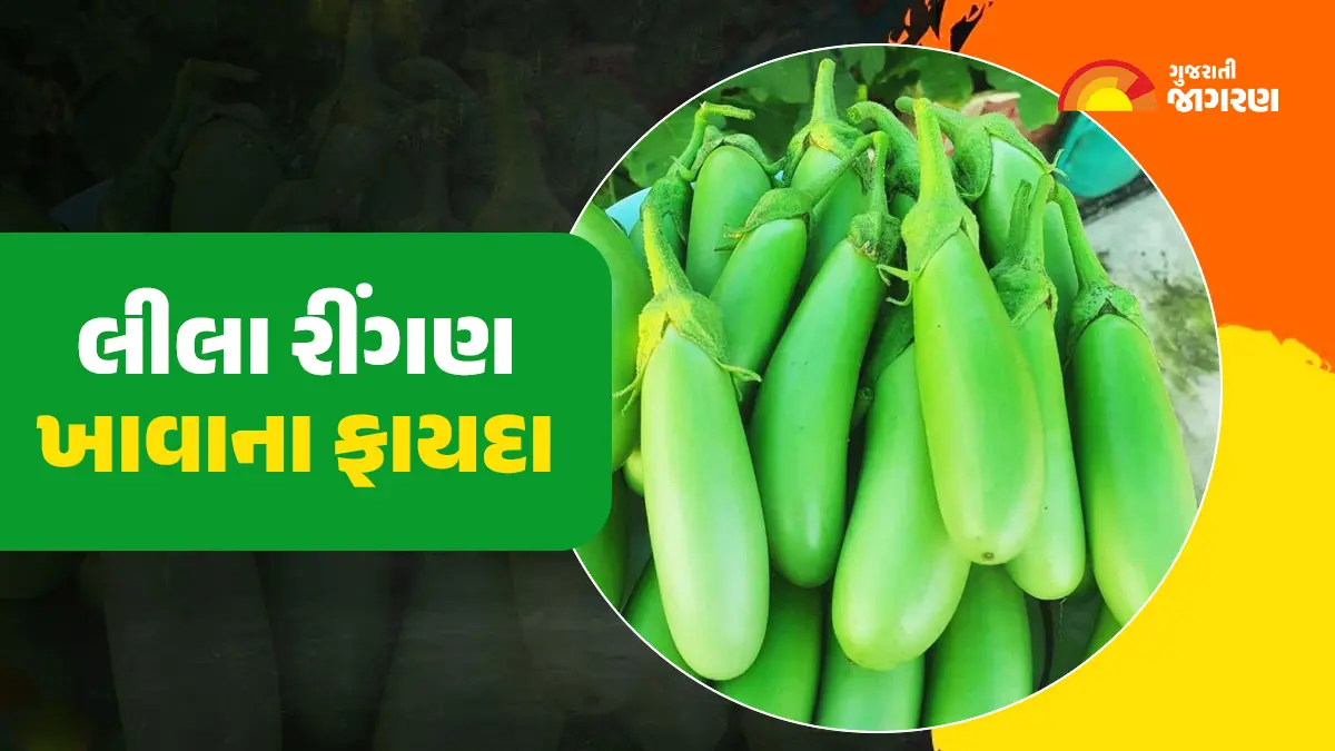 benefits-of-eating-green-brinjal-in-gujarati-benefits-of-eating-brinjal-597785