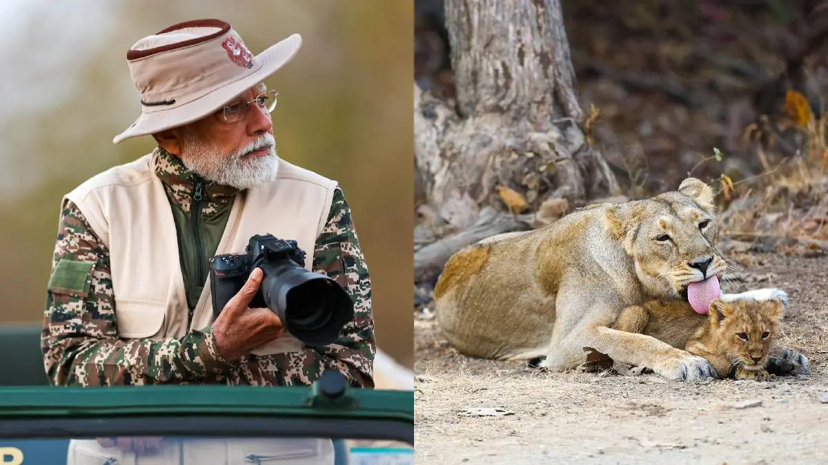 pm-narendra-modi-visits-sasan-gir-national-park-in-junagadh-gujarat-how-to-reach-online-booking-tickets-price-and-other-details-484478