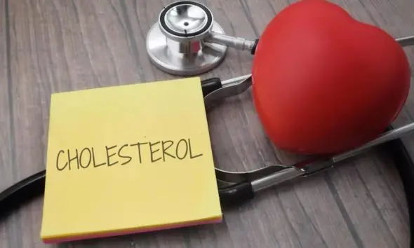 High Cholesterol: કોલેસ્ટ્રોલનું સ્તર વધવાથી ચિંતિત છો ? અપનાવો આ 5 કુદરતી ઉપાયો અને હૃદયને રાખો સુરક્ષિત