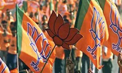 Dang: ગુજરાત ભાજપનું ડાંગ જિલ્લાનું સંગઠન માળખું જાહેર, તમામ મોરચાના પ્રમુખ અને ઉપ-પ્રમુખના નામનું એલાન