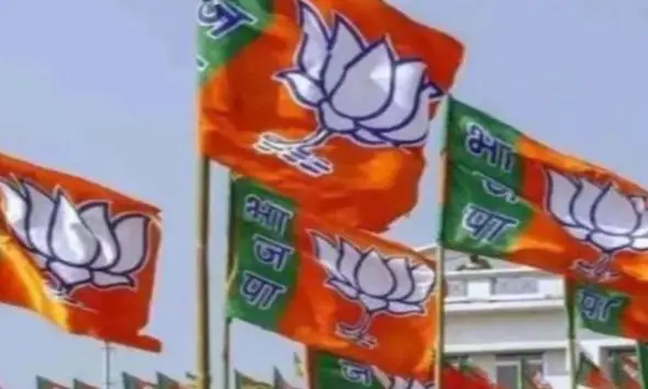 Narmada: નર્મદા જિલ્લા ભાજપનું નવું સંગઠન માળખું જાહેર, 8 ઉપપ્રમુખ, 3 મહામંત્રી સહિત 8 મંત્રીઓને મળ્યું સ્થાન