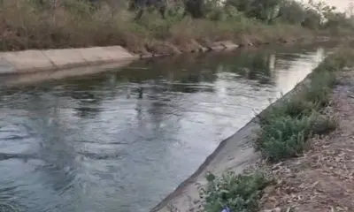 Patan: ચાણસ્મામાં પરિણીત પ્રેમિકા અને કોલેજિયન યુવકનો આપઘાત, મોબાઈલમાંથી પરિવારને લાઈવ લૉકેશન મોકલી કેનાલમાં ઝંપલાવ્યું