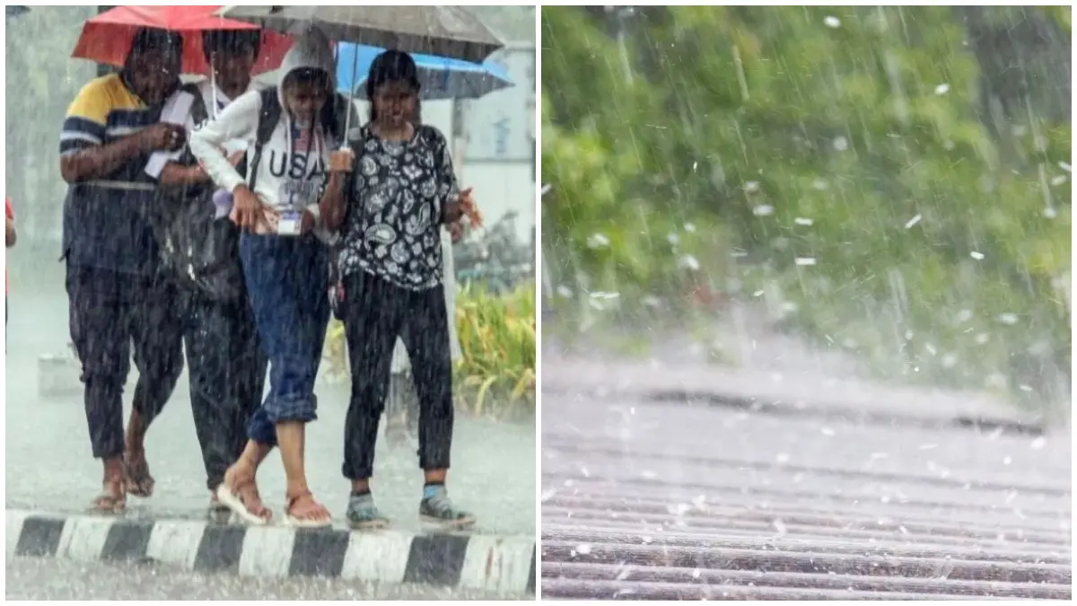 Gujarat Rain: છેલ્લા 24 કલાકમાં રાજ્યના 234 તાલુકામાં મેઘમહેર, સાબરકાંઠાના વડાલીમાં 7.56 ઇંચ વરસાદ.