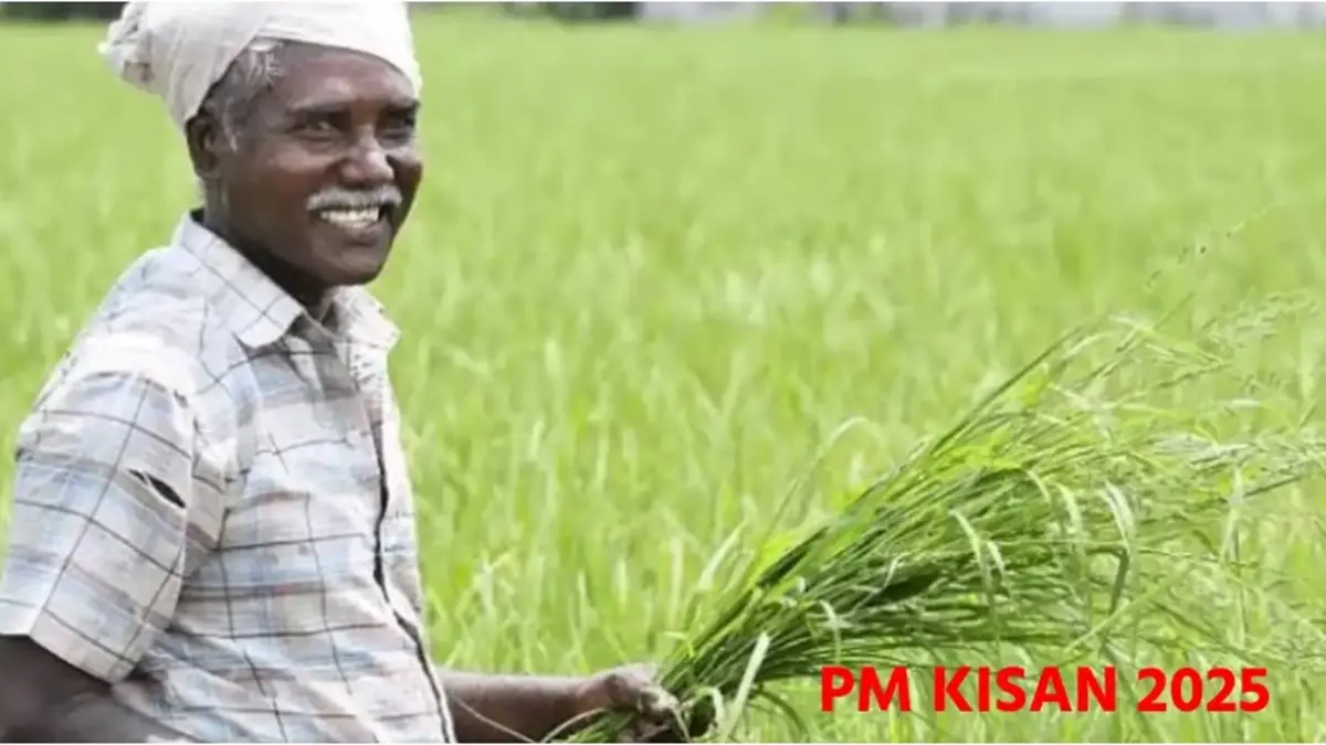 pm-kisan-samman-nidhi-yojana-20th-installment-status-check-online-know-who-will-receive-pm-kisan-money-534848