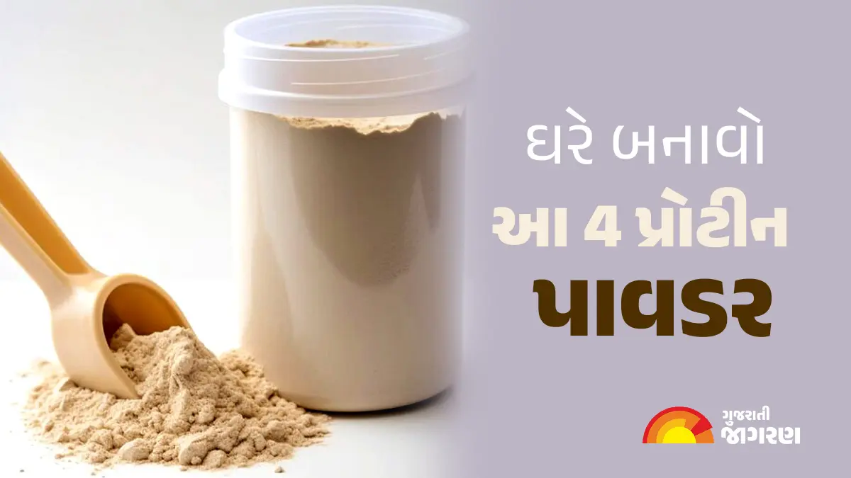 Homemade Protein Powder: ઘરે બનાવો આ 4 પ્રોટીન પાવડર, દરરોજ તેનું સેવન કરવાથી ફાયદો થશે