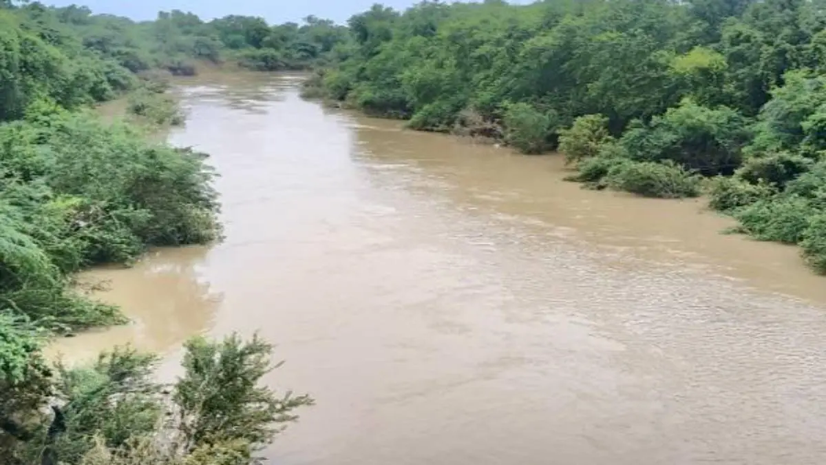 Vadodara: ભારે વરસાદથી ઢાઢર નદી બે કાંઠે વહેતી થઈ, ડભોઈ અને વાઘોડિયા ...