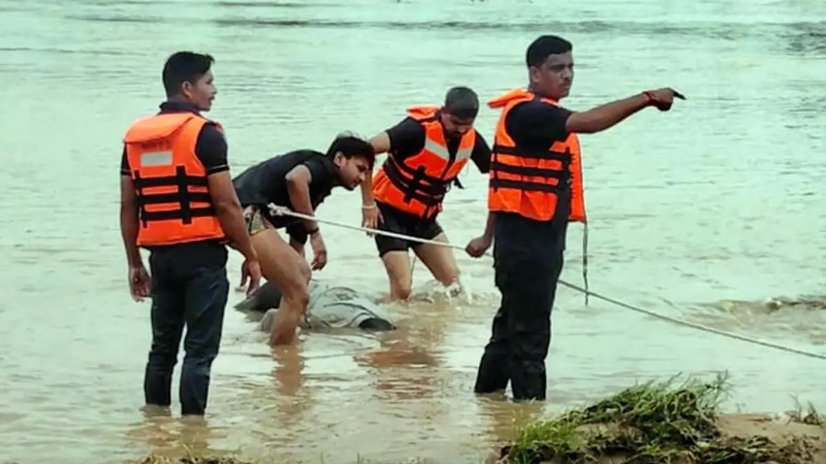 chhotaudepur-a-person-was-swept-away-by-the-flowing-water-in-the-bharaj-river-ndrf-personnel-found-his-body-after-extensive-searching-552902