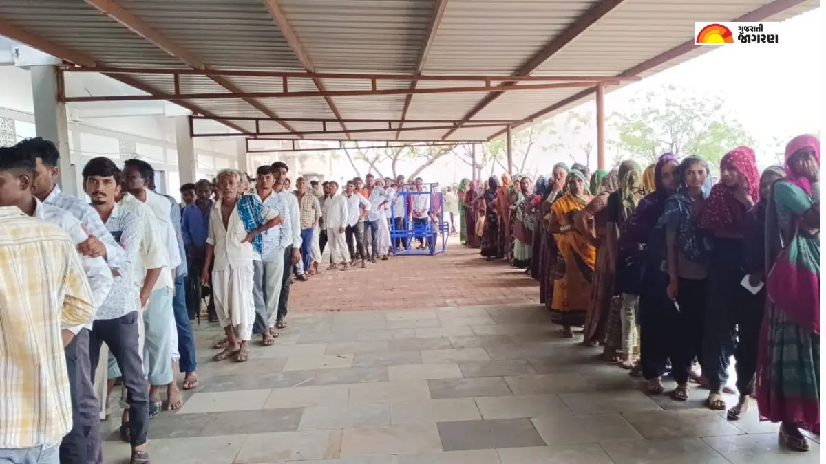 Patan Gram Panchayat Elections 2025 Poll Turnout: પાટણમાં ગ્રામ ...