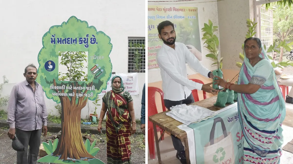 polling-stations-on-green-election-theme-in-visavadar-by-election-plants-as-gifts-to-voters-550546