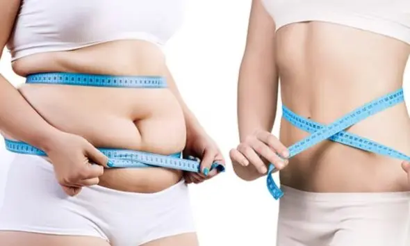 Weight Loss Tips: વજન ઘટાડવા માંગો છો? આ 4 પ્રકારના સલાડ ખાવાથી શરીરની ચરબી માખણની જેમ ઓગળી જશે!