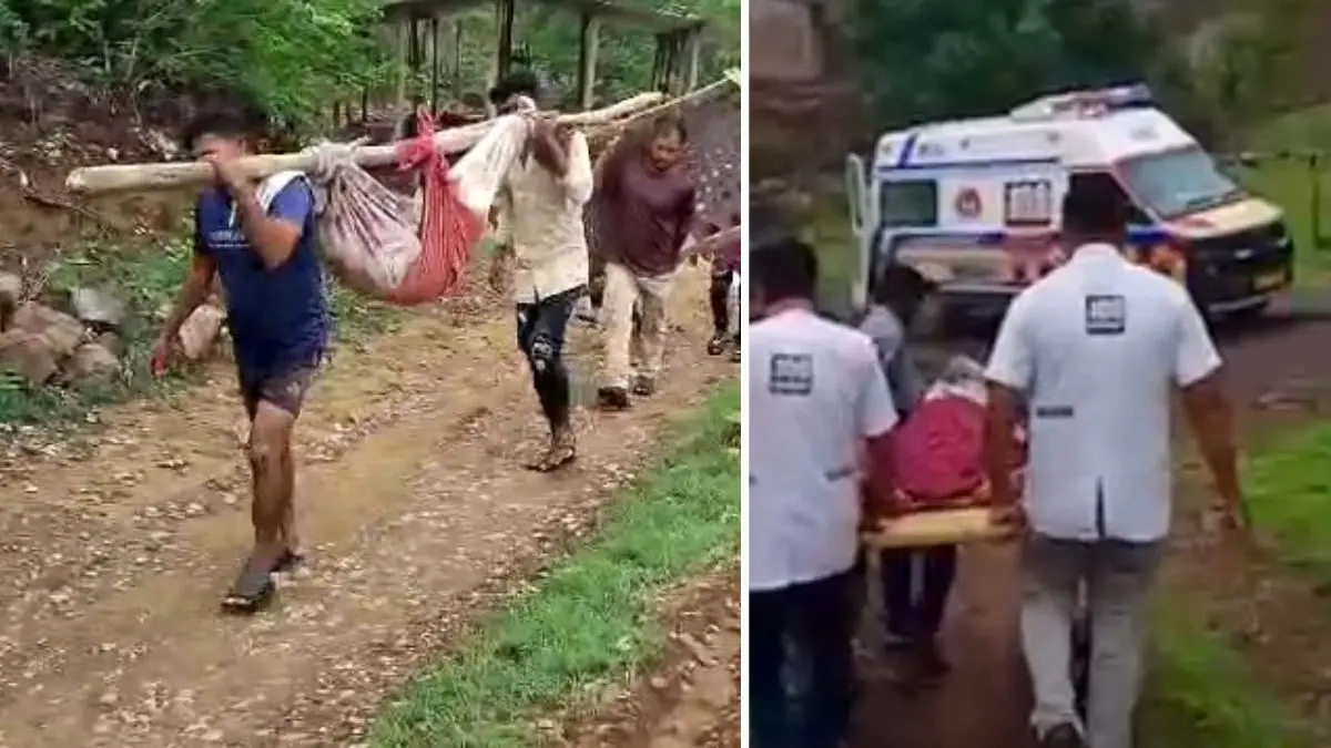 chhota-udepur-news-pregnant-woman-carried-in-sling-delivers-mid-journey-due-to-lack-of-roads-555964