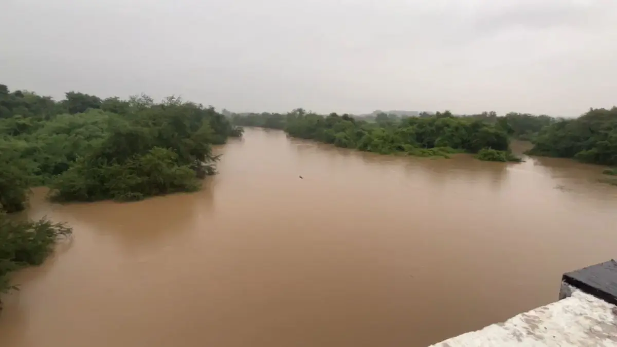 Vadodara News: ડભોઇમાં ઢાઢર નદીમાં ધોધમાર પાણીની આવકથી 3 ગામ હજુ પણ ...