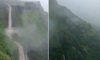 Dang News: ડાંગમાં ચોમાસાની જમાવટ: પ્રકૃતિ જાણે સોળે કળાએ ખીલી ઉઠી, ‘ભમ્ભાઈ’નો ધોધ આકર્ષણનું કેન્દ્ર બન્યો