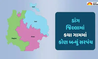 Dang Gram Panchayat Election Result: ડાંગ જિલ્લાની ગ્રામ પંચાયતોનું પરિણામઃ જાણો કયા ગામમાં કોણ બન્યું સરપંચ