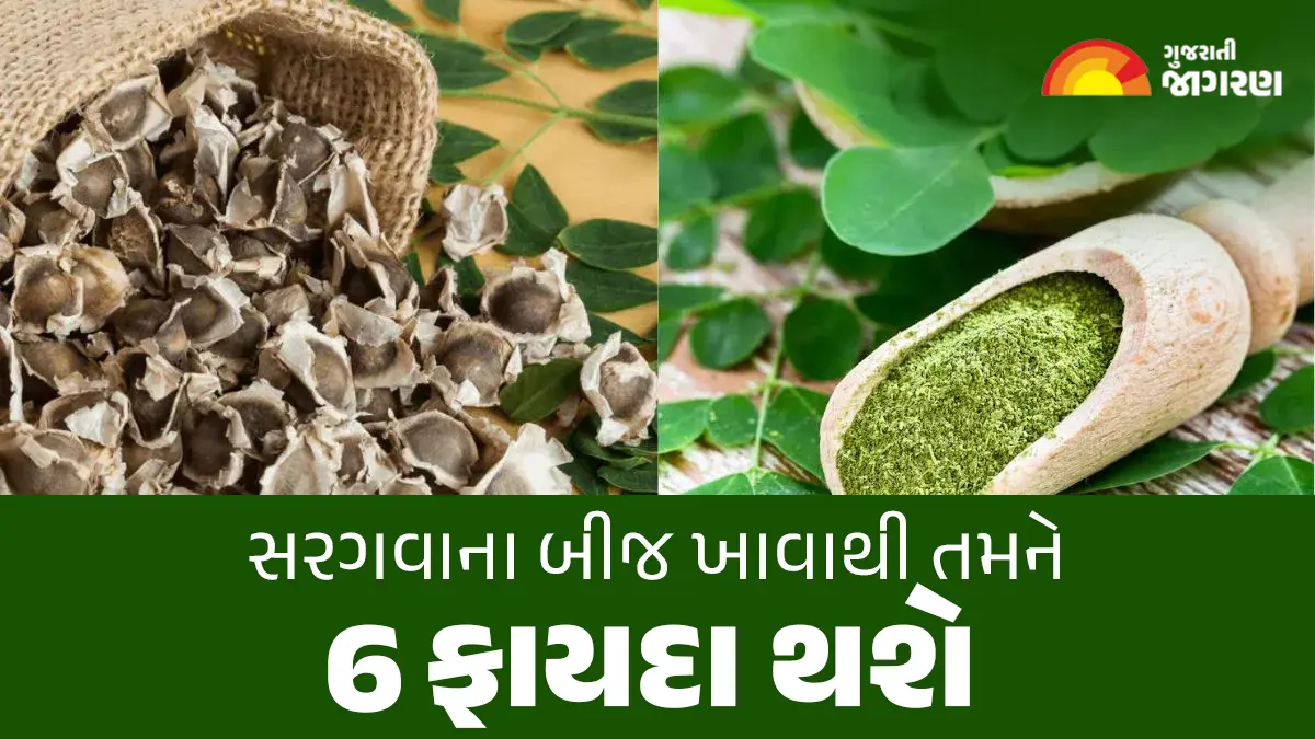 how-much-vitamin-b12-is-in-drumstick-leaves-moringa-leaves-for-vitamin-b12-590116