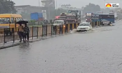 Tapi Rain: છેલ્લા 24 કલાકમાં તાપી જિલ્લામાં સાર્વત્રિક વરસાદ, જાણો આજે કેટલા તાલુકામાં થઈ મેઘમહેર
