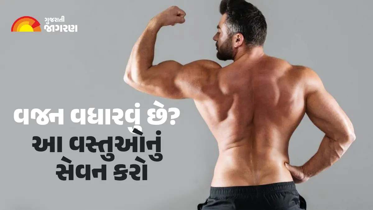 Weight Gain Tips: જો તમે વજન વધારવા માગતા હોય તો દૂધ સાથે આ વસ્તુનું કરો સેવન; 15 દિવસમાં દેખાશે અસર