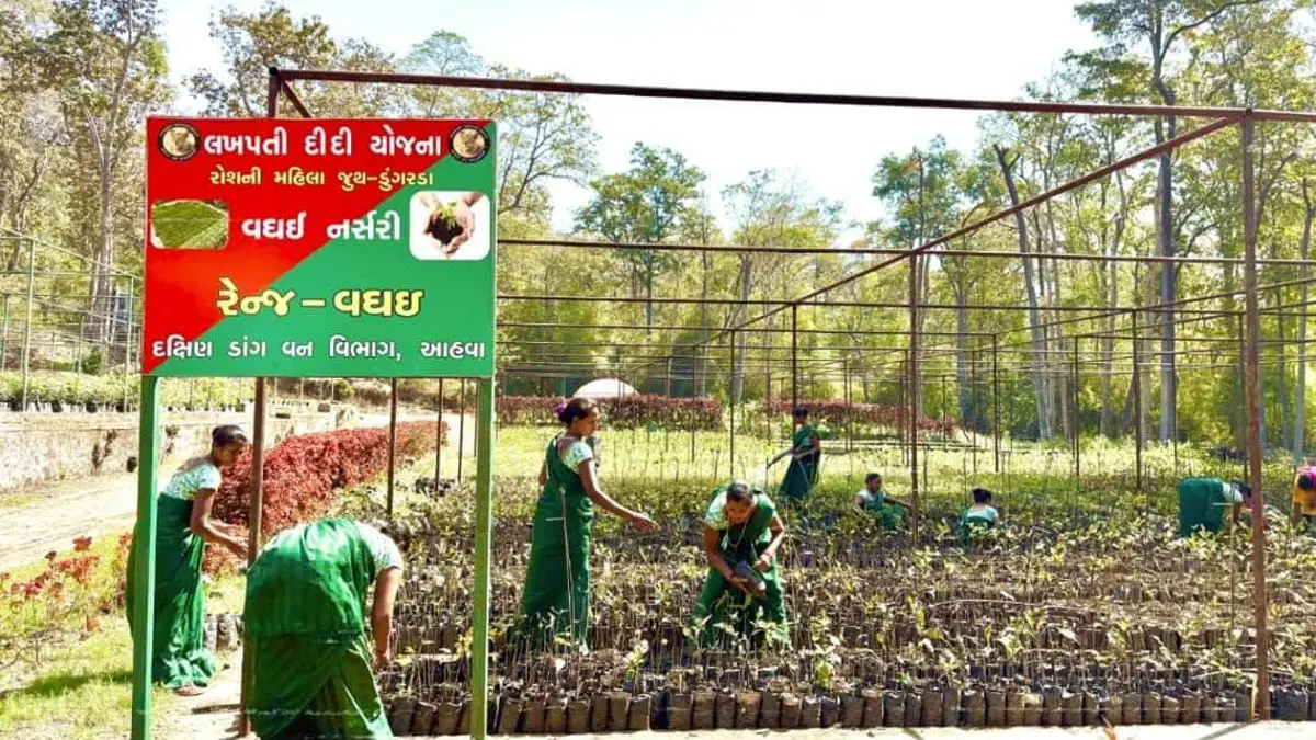 dang-tribal-women-in-south-dang-have-incareased-their-income-through-the-lakhpati-didi-yojana-earning-rs-35-lakh-in-the-year-2023-24-571208