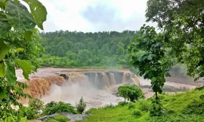 Gira Waterfalls: ડાંગના ગીરાધોધનો આકાશી નજારો,100 ફૂટ ઊંચાઈથી વહેતા ધોધની ધારાઓના સૌદર્યના અદભુત દ્રશ્ય નિહાળો