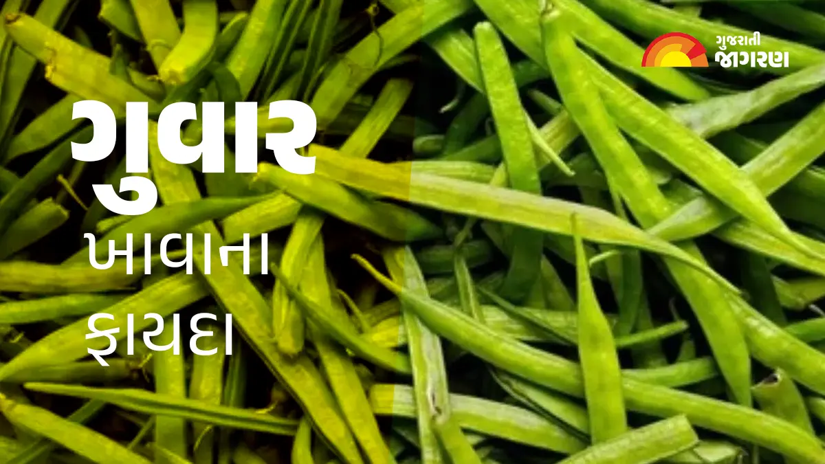 top-health-benefits-of-cluster-beans-you-need-to-know-gawar-na-fayda-561239